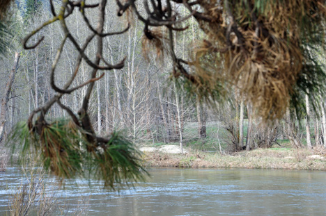 the Merced River