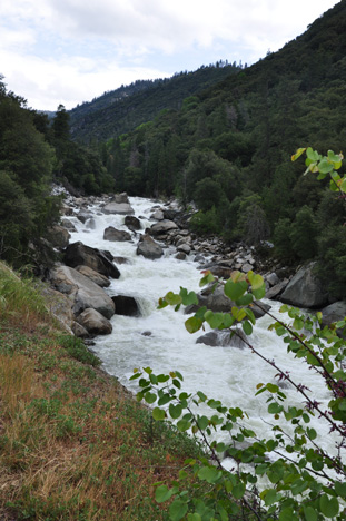 the Merced River