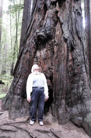 Lee looking up at the tree