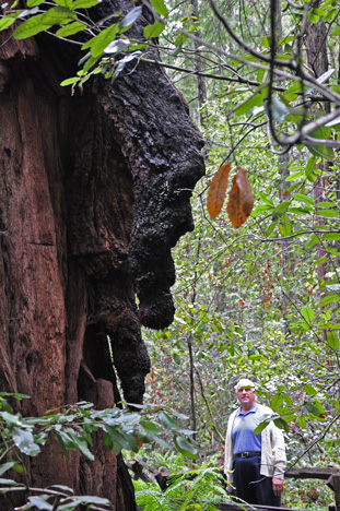 Lee and a Burl