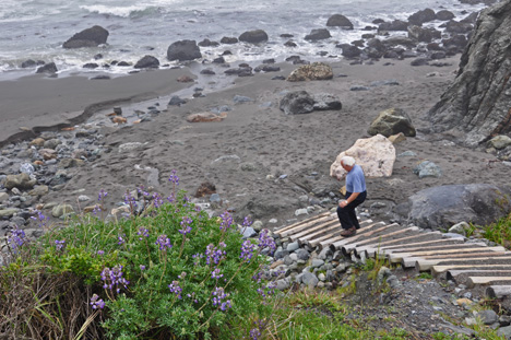 Almost to the Pacific - just a bunch of wooden steps to go down