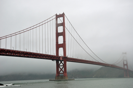 photos from below the bridge