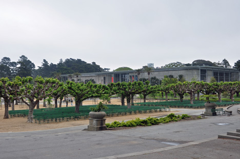 The Living Roof - California Academy of Sciences