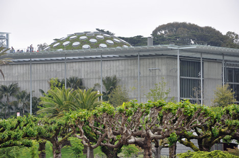 The Living Roof - California Academy of Sciences