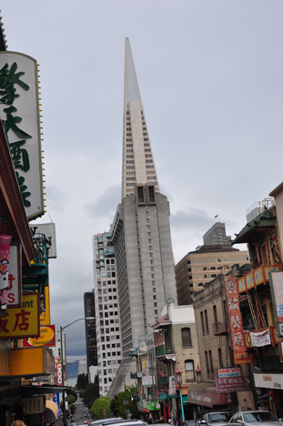 The colt tower and Transamerica Pyramid