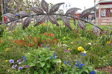 flowers in the square