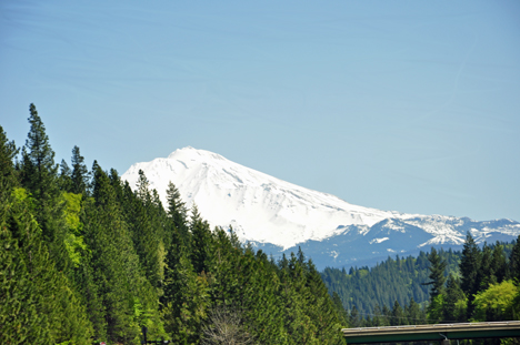 Mount Shasta