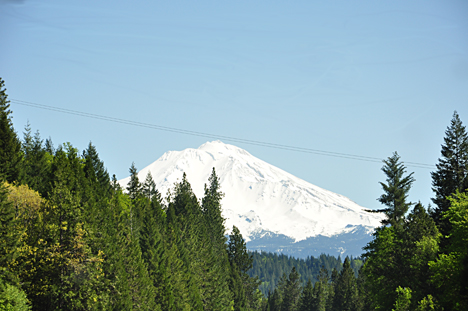 Mount Shasta