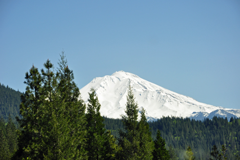 Mount Shasta