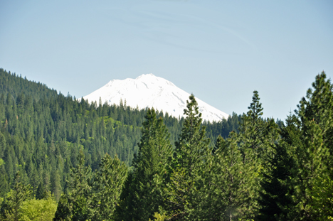 Mount Shasta