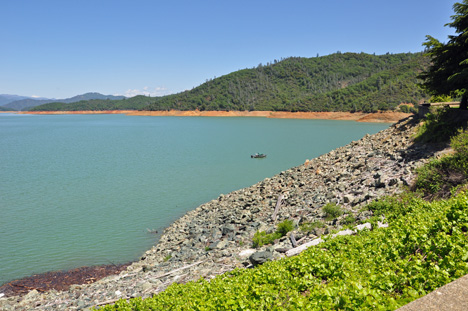 Shasta Lake 