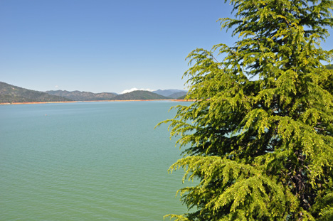 Shasta Lake 