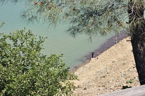 people fishing at Shasta Lake