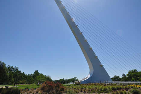 the pylon as seen from the gardens