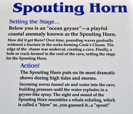 Spouting Horn sign