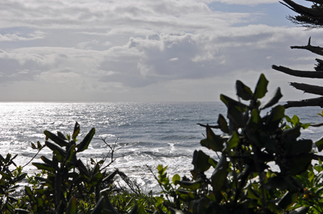 a sunlit Pacific ocean