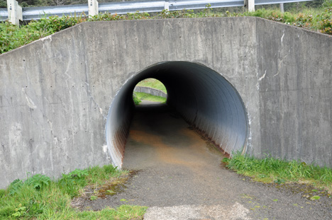 walking tunnel