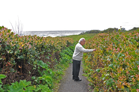 Lee Duquette admires the flowers