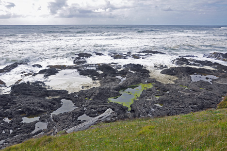 the tide pools