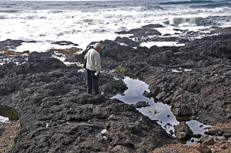 Lee Duquette and the tide pools