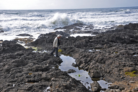 Lee Duquette and the tide pools