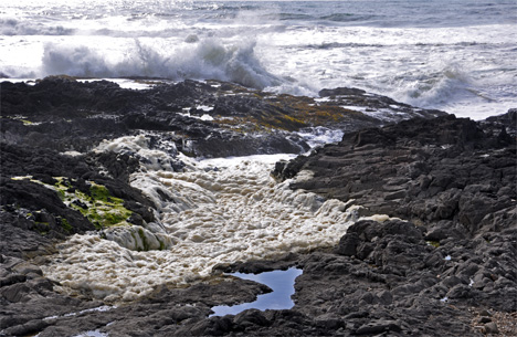 Pacific Ocean crashing into a tide pool