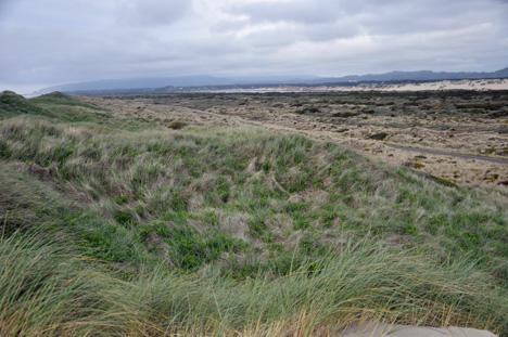 view from top of sand dune