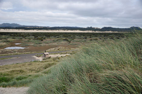 view from top of sand dune