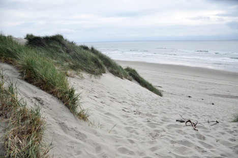 Looking at the Pacific Ocean from the top of the sand dune