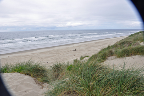 Looking at the Pacific Ocean from the top of the sand dune