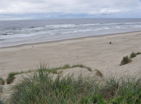 Looking at the Pacific Ocean from the top of the sand dune