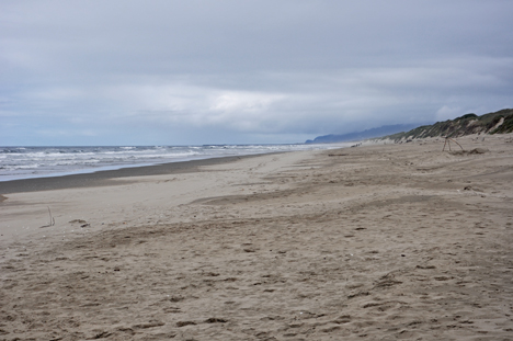 the beach and ocean