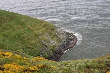 the ocean