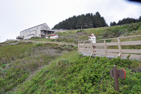 Lee on the step pathway down to a viewing area. 