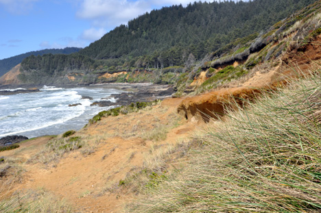 a view to the right of the path down