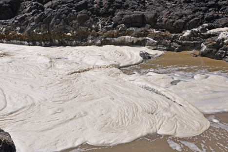 the waves expload into white froth