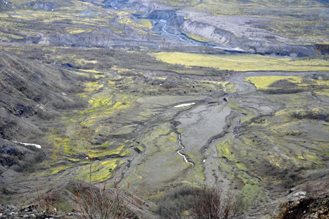 overview of lava path