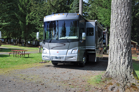 view of the new yard of the two RV Gypsies