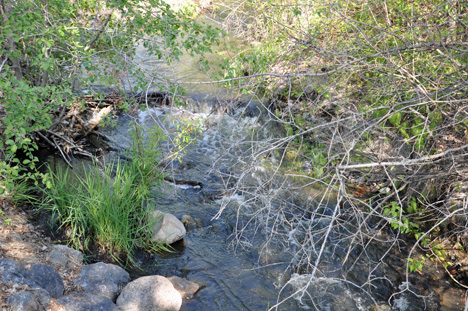 A small bridge and brook inside Brookside Campsite