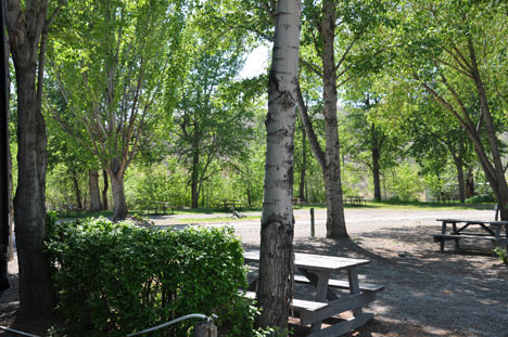 A small bridge and brook inside Brookside Campsite