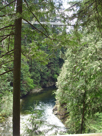 a view of the Capilano Bridge from Cliff Hanger area 