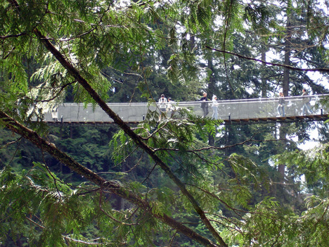a view of the Capilano Bridge from Cliff Hanger area 