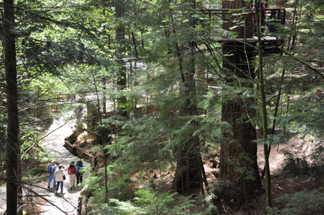 looking down to the original pathway