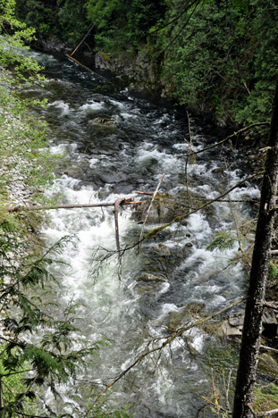 views of the river from various locations