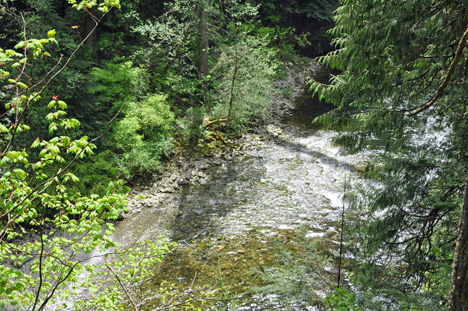 views of the river from various locations
