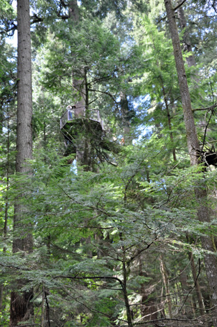 view of the bridge and round lookout