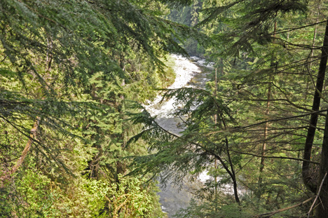 view of the river from the bridge