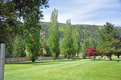 golf course, tree, mountains
