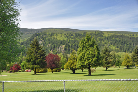 golf course, tree, mountains