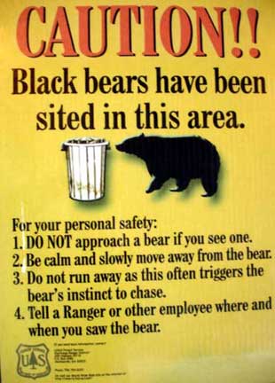 bear sign